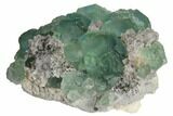 Light-Green Fluorite Crystals on Quartz - China #128798-1